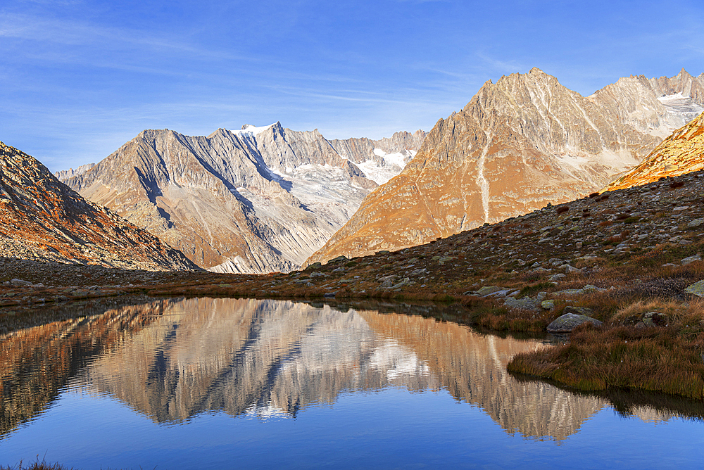 Marjelensee lake reflection at morning, Aletsch glacier, UNESCO World Heritage Site, Valais canton, Switzerland, Europe