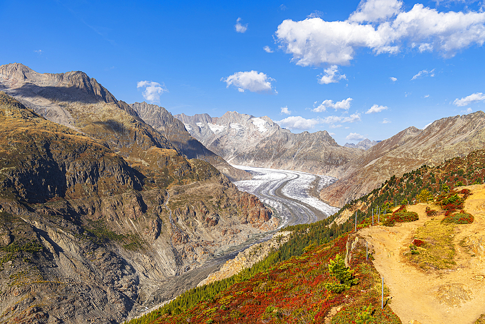 Aletsch Glacier seen from the Hohfluh viewpoint, Riederalp, UNESCO World Heritage Site, Valais canton, Switzerland, Europe