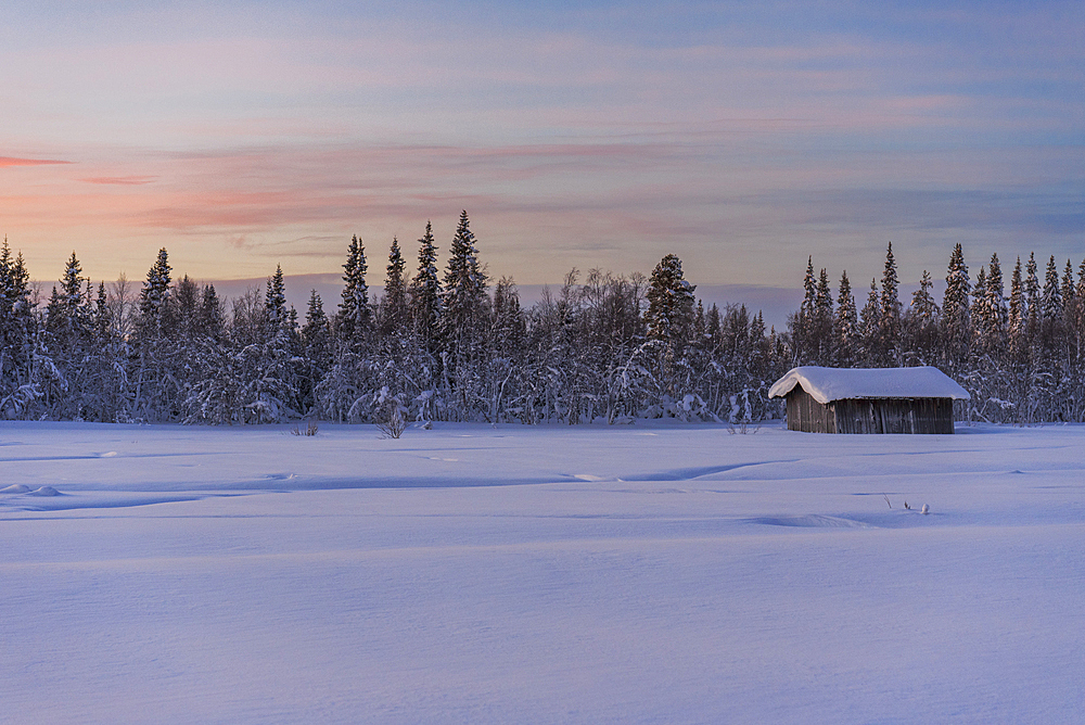 Isolated wooden cottage covered with thick snow in the Arctic environment at dusk in winter, Tjautjas, Gallivare municipality, Norrbotten county, Swedish Lapland, Sweden, Scandinavia, Europe