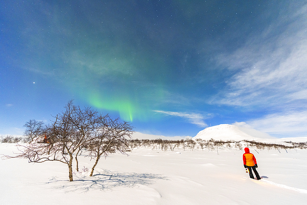 Rear view of a hiker with lantern standing in the Arctic and icy landscape covered with snow admiring Northern Lights (Aurora Borealis), full moon night, Kilpisjarvi, Enontekio municipality, Finnish Lapland, Finland, Scandinavia, Europe