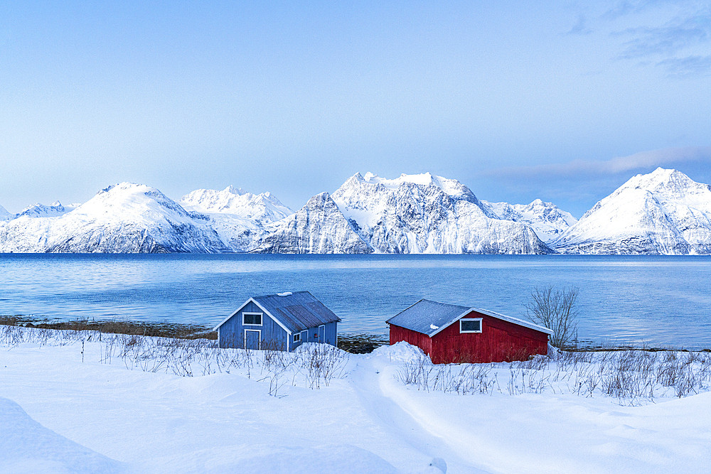 Two colorful rorbu standing on the shore of the fjord covered by deep snow and snowy mountain in the background in winter, Djupvik, Olderdalen, Lyngen fjord, Lyngen Alps, Troms og Finnmark, Norway, Scandinavia, Europe