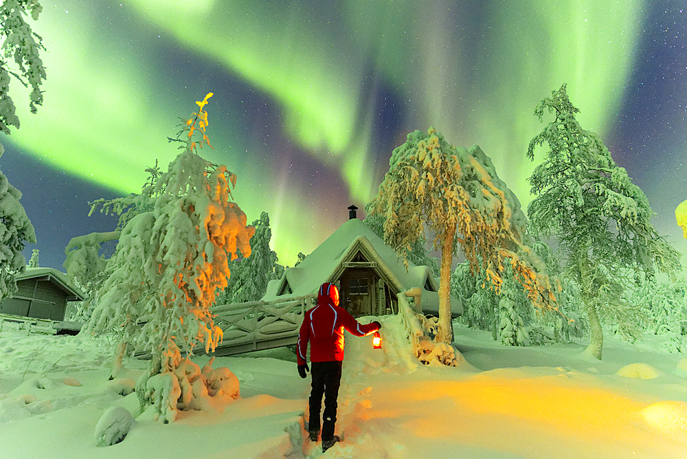 Man with lantern standing in front of a typical Finnish hut (kota) in the wood covered with snow under Northern Lights (Aurora Borealis), Pallas-Yllastunturi National Park, Muonio, Finnish Lapland, Finland, Scandinavia, Europe