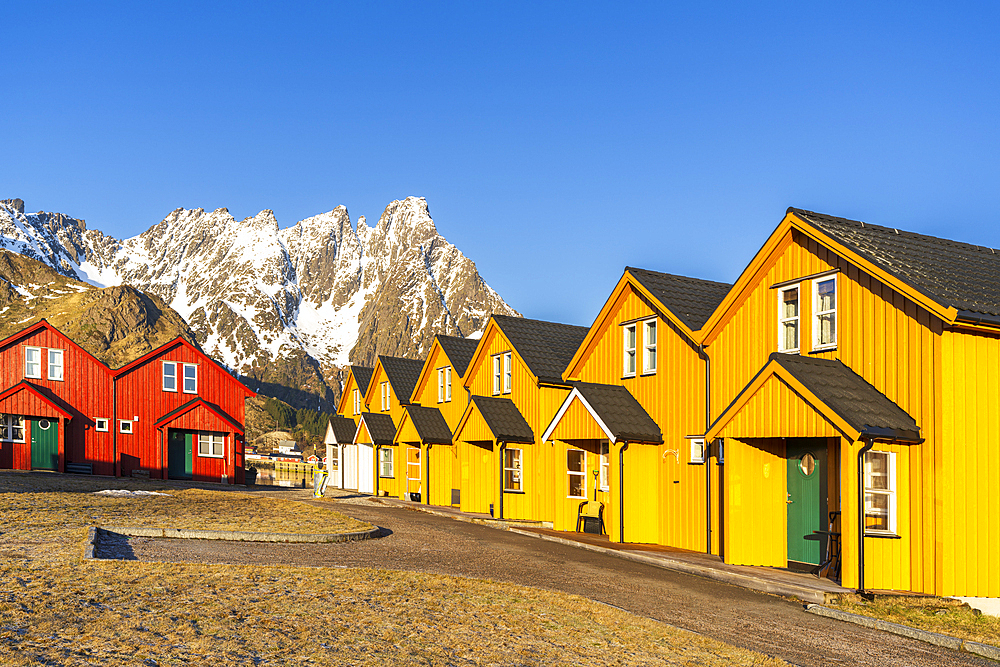 Traditional wooden and colorful buildings surrounded by snowy mountains in Arctic scenery, spring time, Ballstad, Vestvagoy, Lofoten Islands, Norway, Scandinavia, Europe