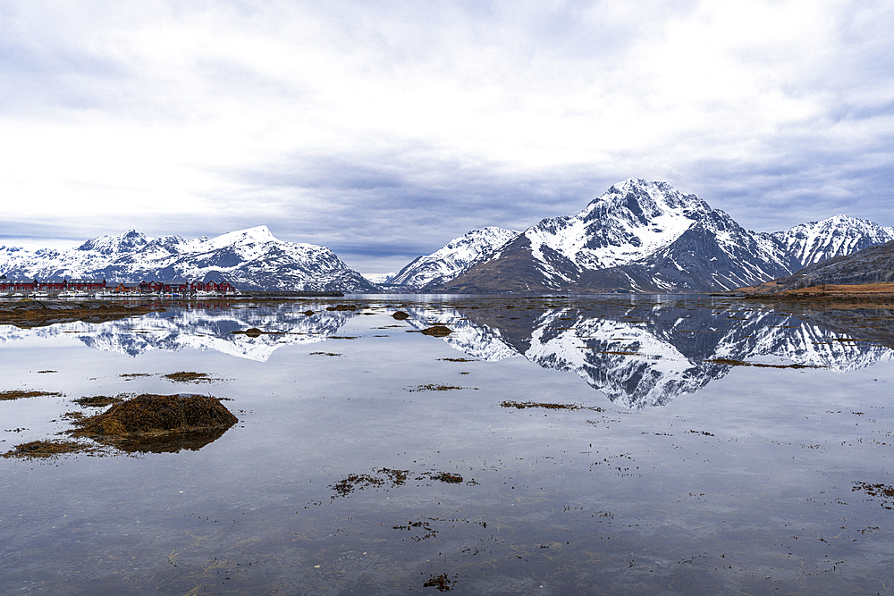 Tall mountains with snowy peaks reflecting in the calm water of the fjord at high tide with scenic clouds, Leknes, Lofoten Islands, Norway, Scandinavia, Europe