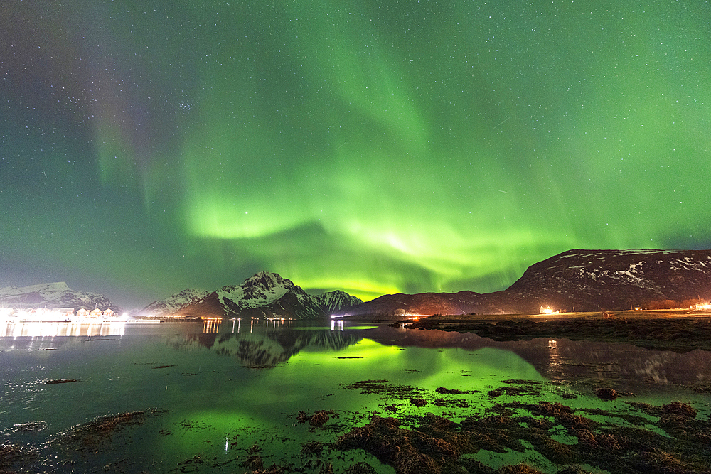 Northern lights (Aaurora borealis) on snowy mountains reflecting in the calm water of the fjord in the Arctic landscape, Vestvagoy, Lofoten Islands, Norway, Scandinavia, Europe