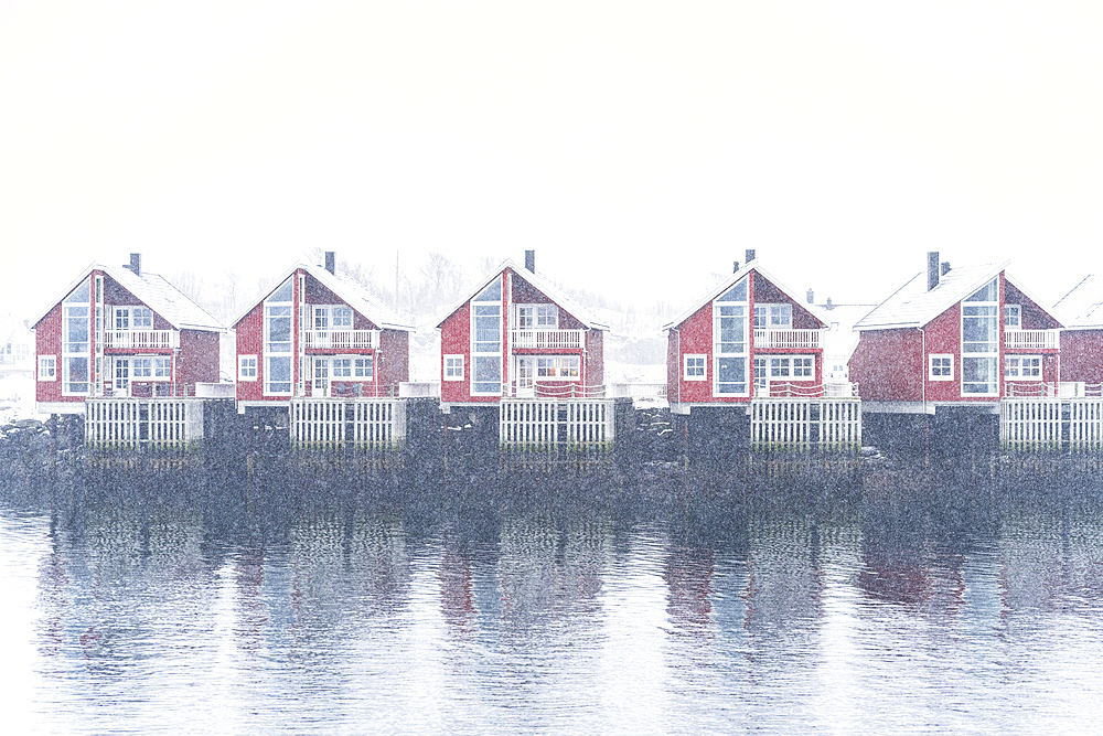 Row of traditional red rorbu under heavy snowfall, Svolvaer, Austvagsoya, Lofoten Islands, Norway, Scandinavia, Europe