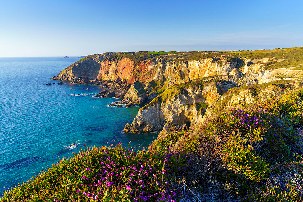 Cligga Head, Perranporth, Cornwall, England, United Kingdom, Europe