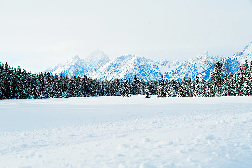 Snow covered view of the Teton Mountain Range, Grand Teton National Park, Wyoming, USA