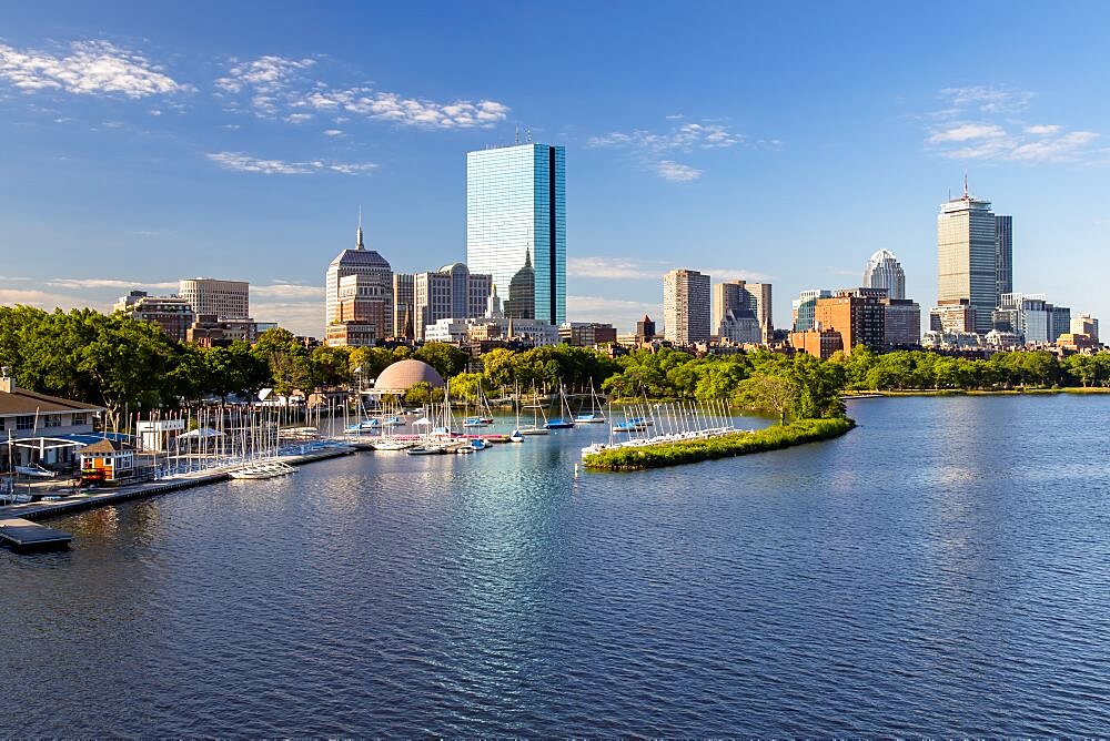 Summer Morning at the Charles River Esplanade