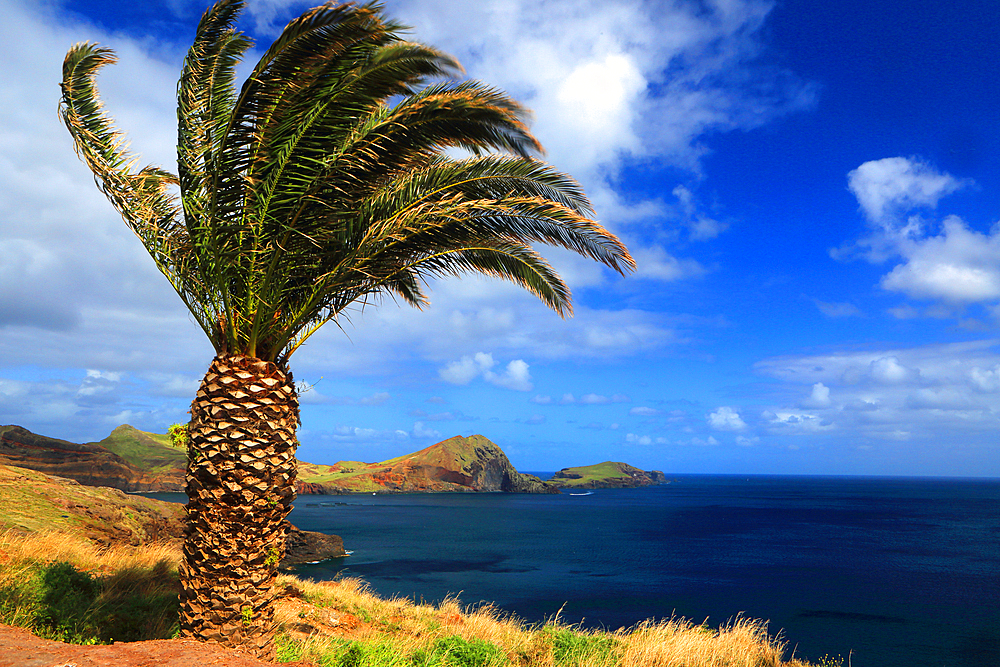Ponta de São Lourenço, Madeira