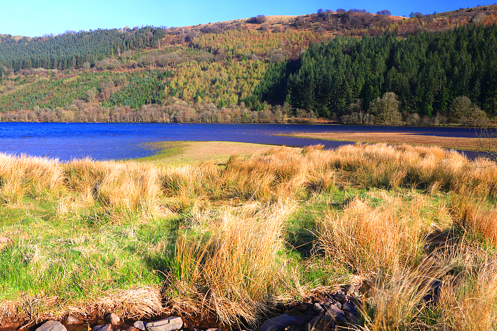 Tal y Bont reservoir, Brecon Beacons, South Wales, United Kingdom