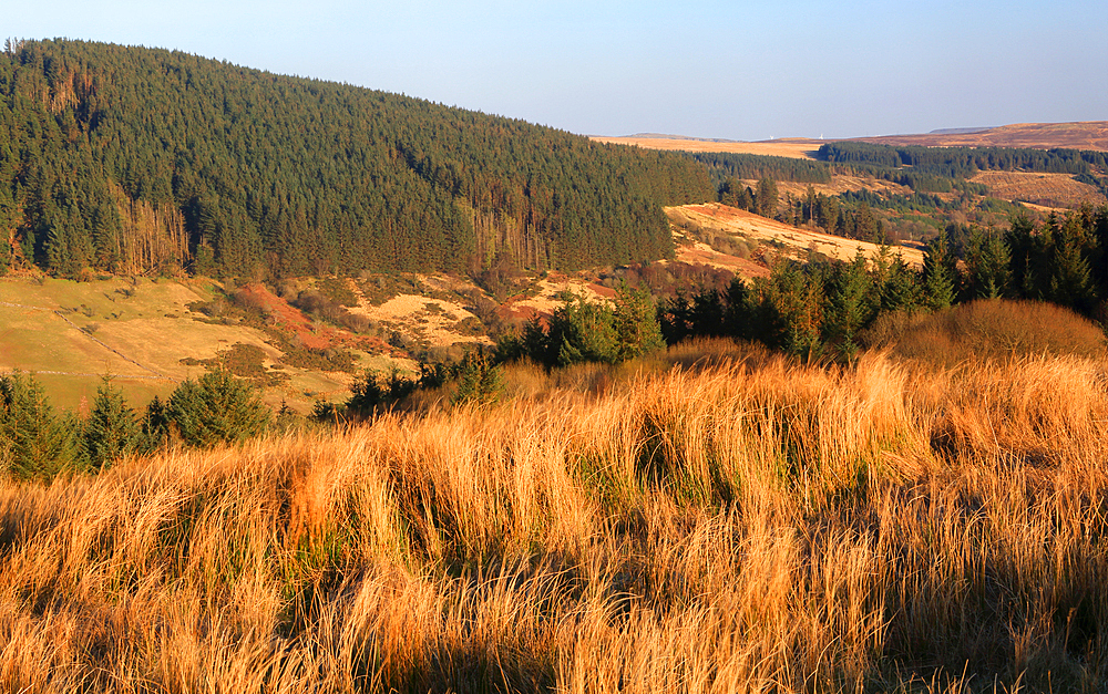 Brecon Beacons, Powys, South Wales