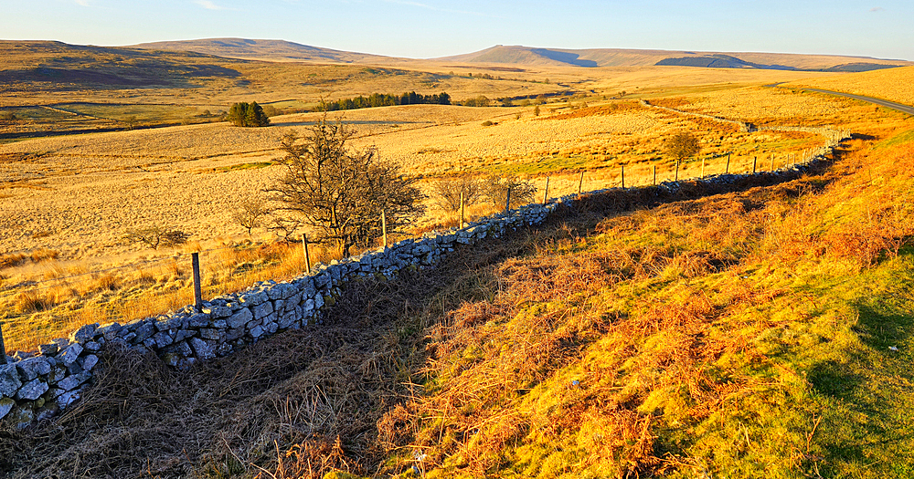 Brecon Beacons, Powys, South Wales
