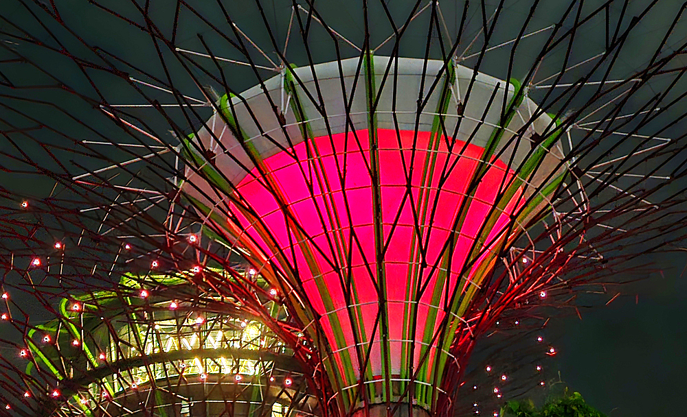 Gardens By The Bay light show, Singapore