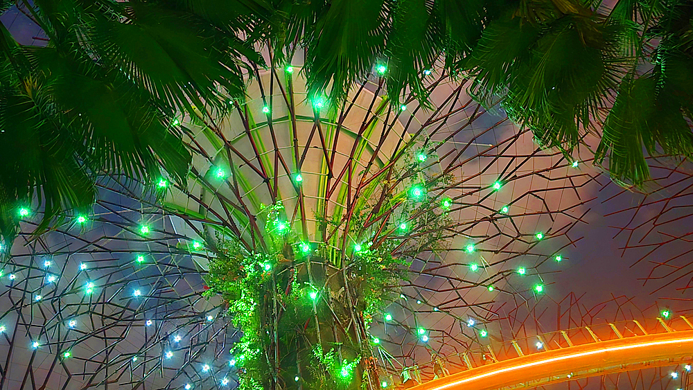 Gardens By The Bay light show, Singapore