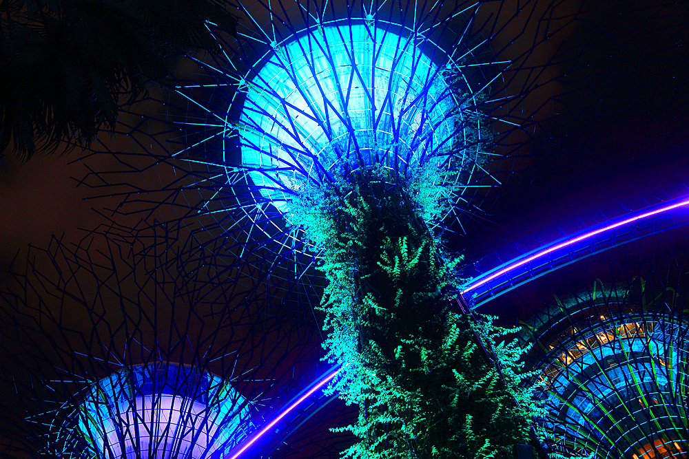 Lightshow, The Gardens by the Bay, Singapore
