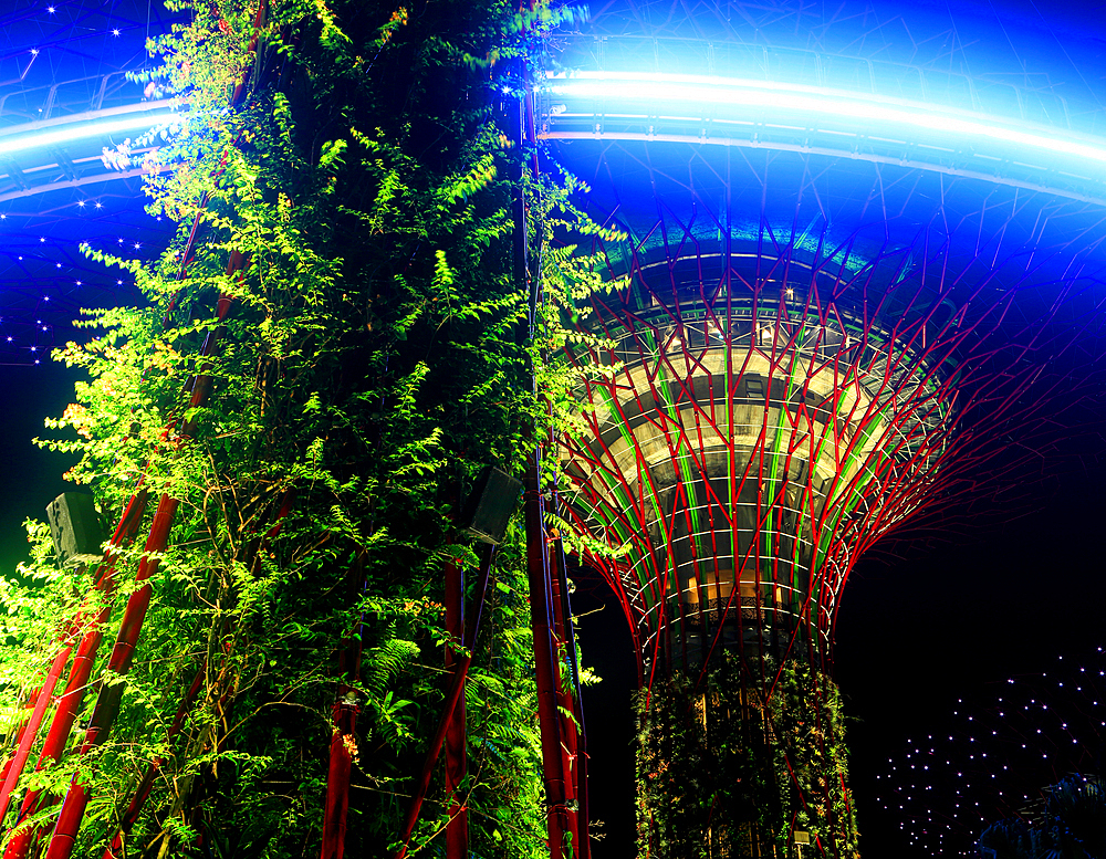 Lightshow, The Gardens by the Bay, Singapore