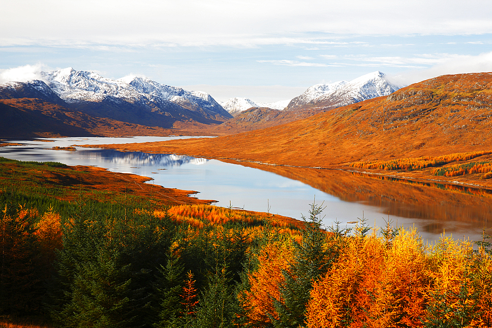 Loch Loyne, Western Highlands, Scotland, United Kingdom, Europe