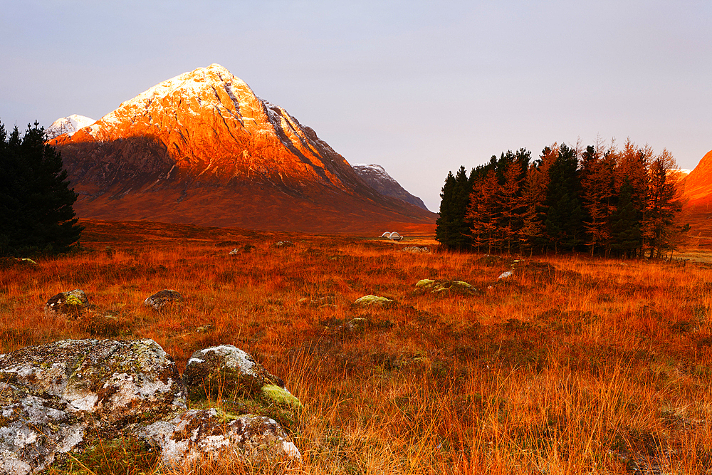 Buachaille Etive Mor from King's Hotel, Rannoch Moor, Highlands, Scotland, United Kingdom, Europe