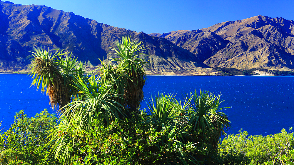 Lake Wanaka, South Island, New Zealand