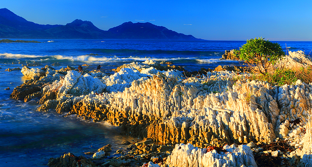 Limestone outcrops, Tasman By near Nelson, South Island, New Zealand