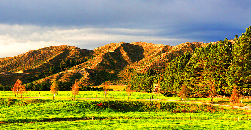South Island, New Zealand