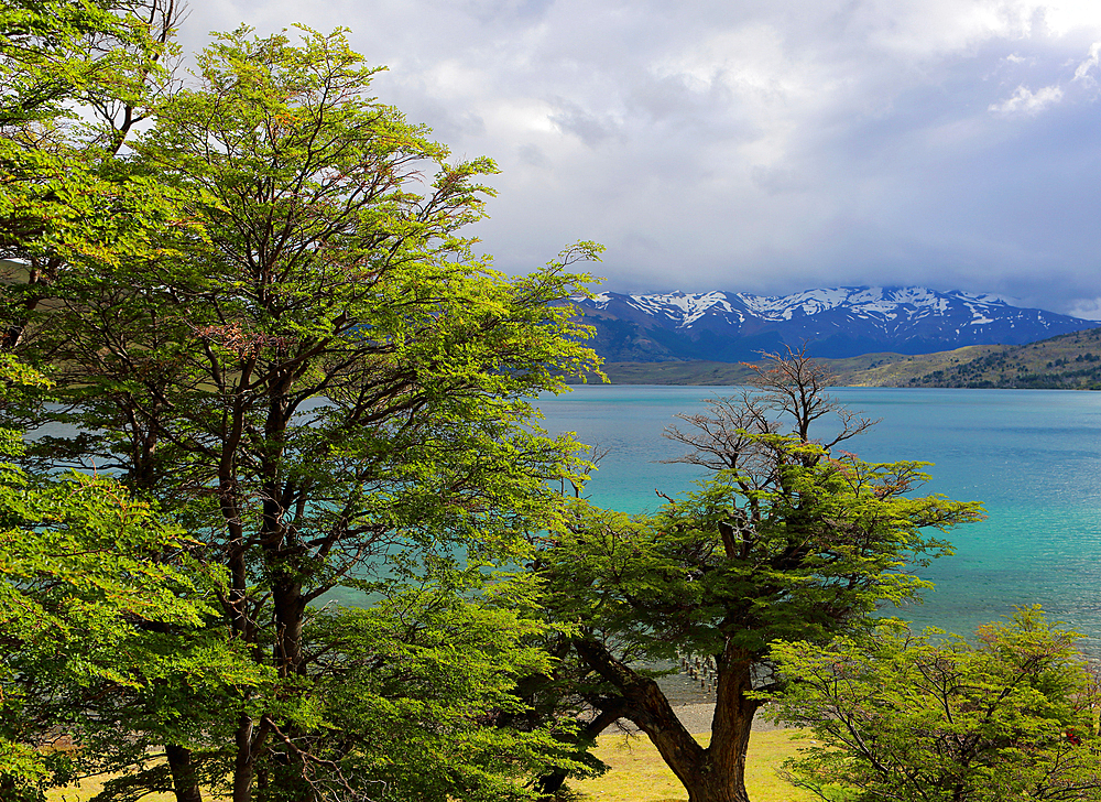 Torres del Paine National Park, Patagonia, Chile, South America