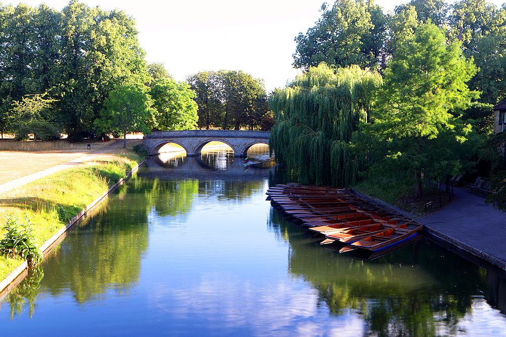 River Cam along The Backs, Cambridge, England, UK