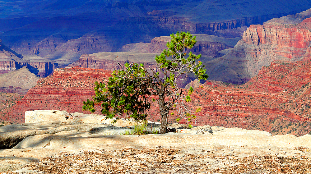 Grand Canyon from South Rim, Arizona, USA