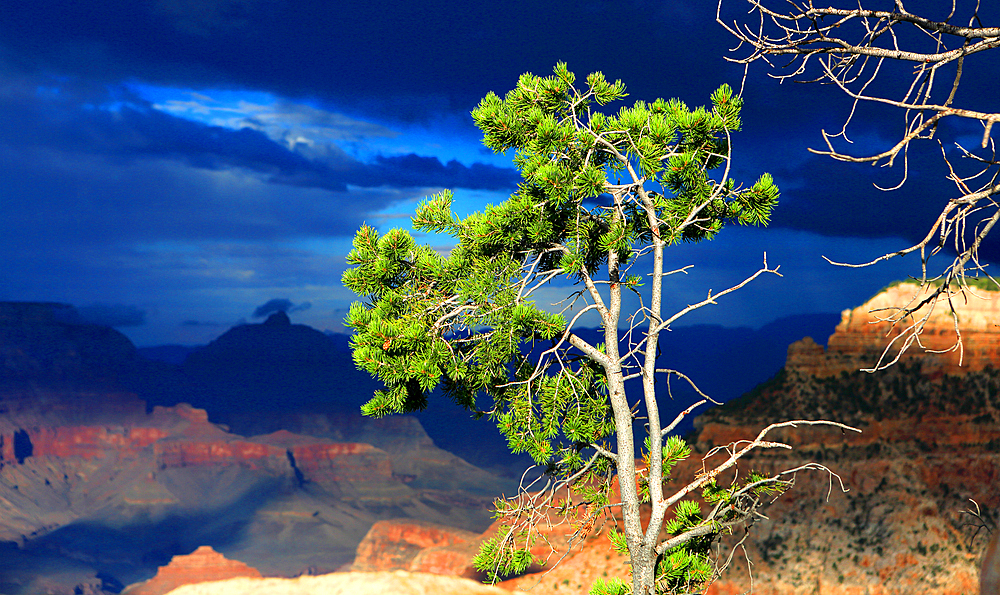 Grand Canyon from the South Rim, Arizona, USA