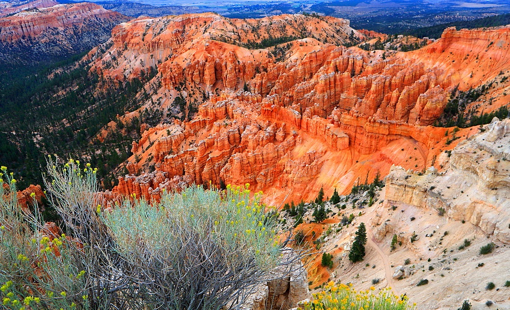 Bryce Canyon, Utah, USA