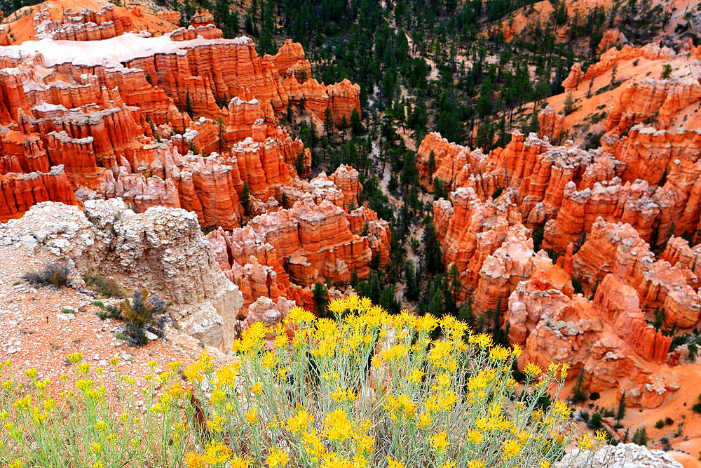 Bryce Canyon, Utah, USA
