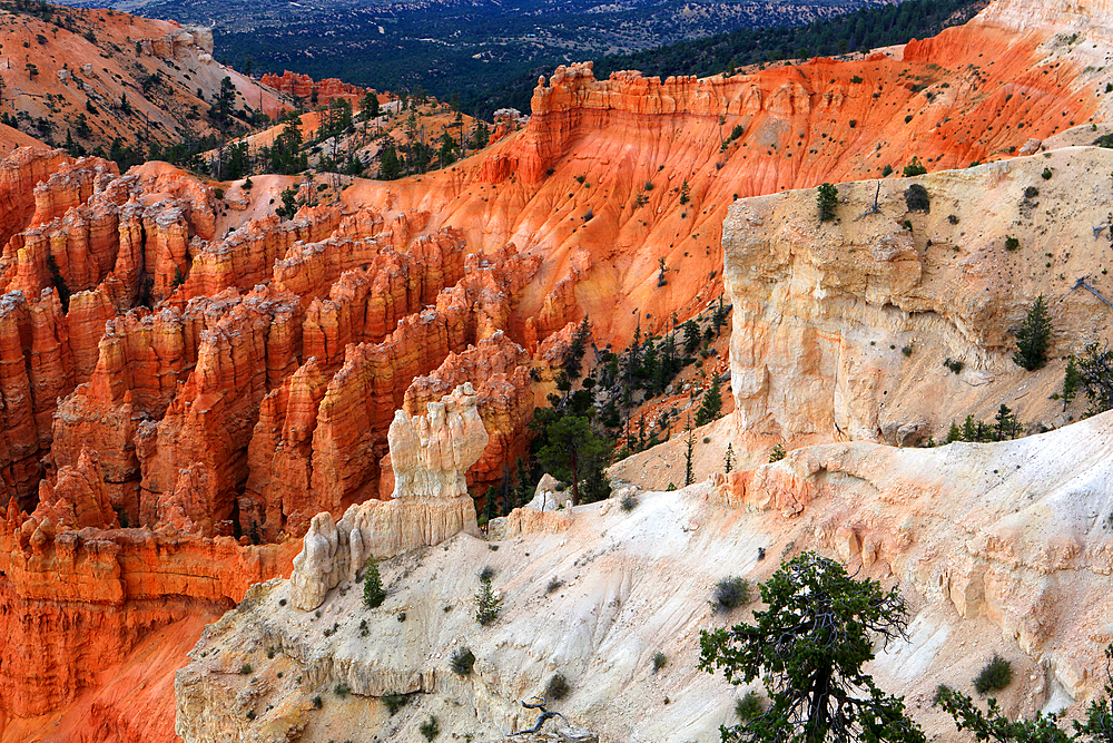 Bryce Canyon, Utah, USA