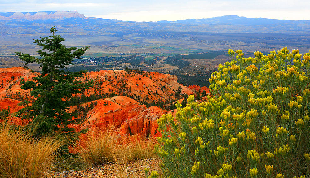 Bryce Canyon, Utah, USA