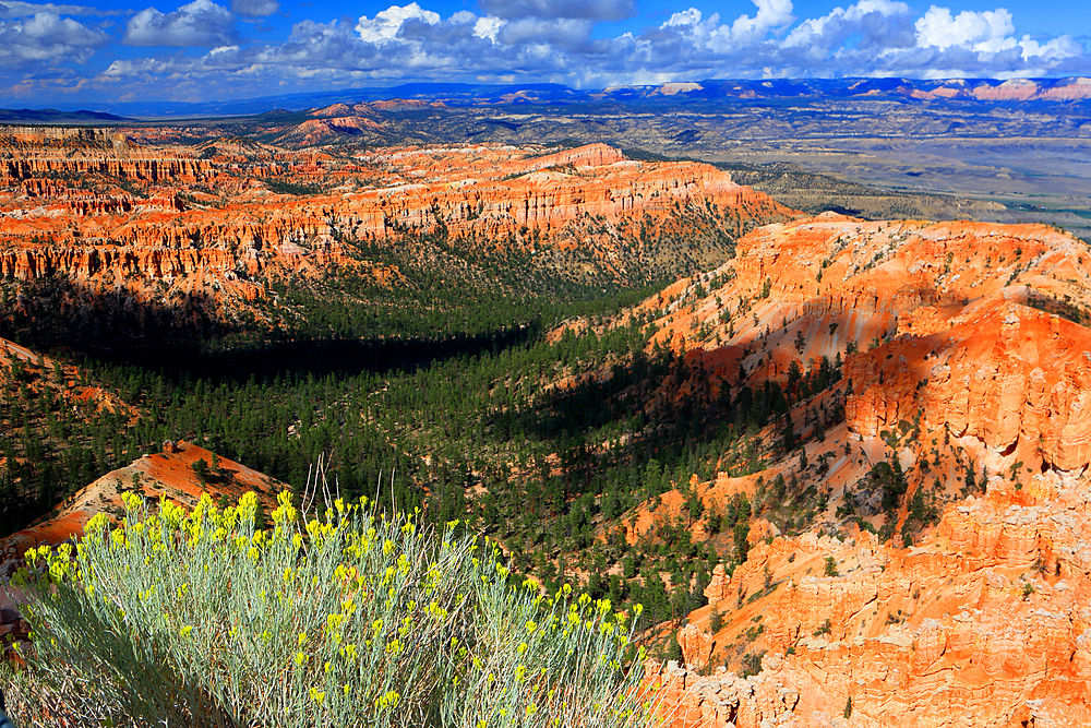 Bryce Canyon, Utah, USA