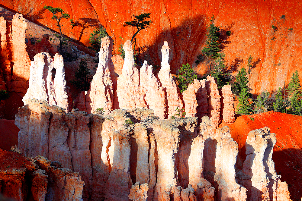 Bryce Canyon, Utah, USA
