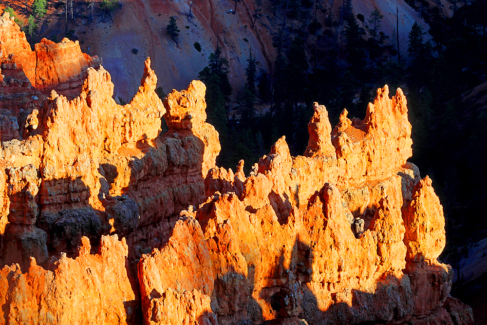 Bryce Canyon, Utah, USA