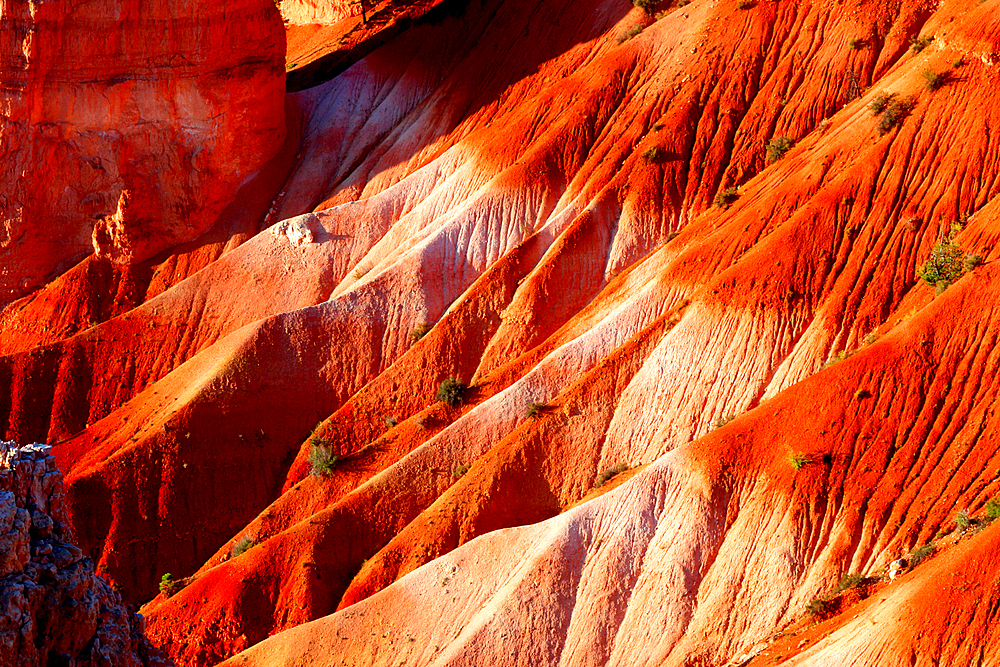 Bryce Canyon, Utah, USA