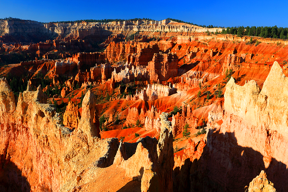 Bryce Canyon, Utah, USA
