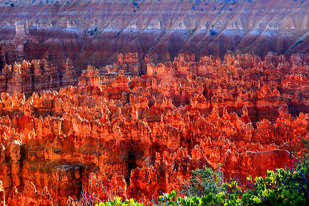 Bryce Canyon, Utah, USA