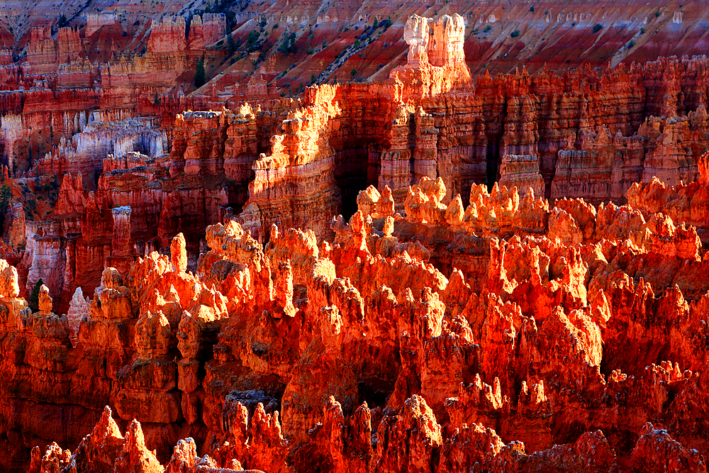 Bryce Canyon, Utah, USA
