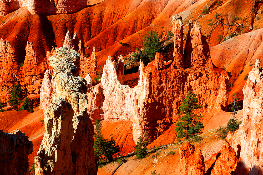 Bryce Canyon, Utah, USA