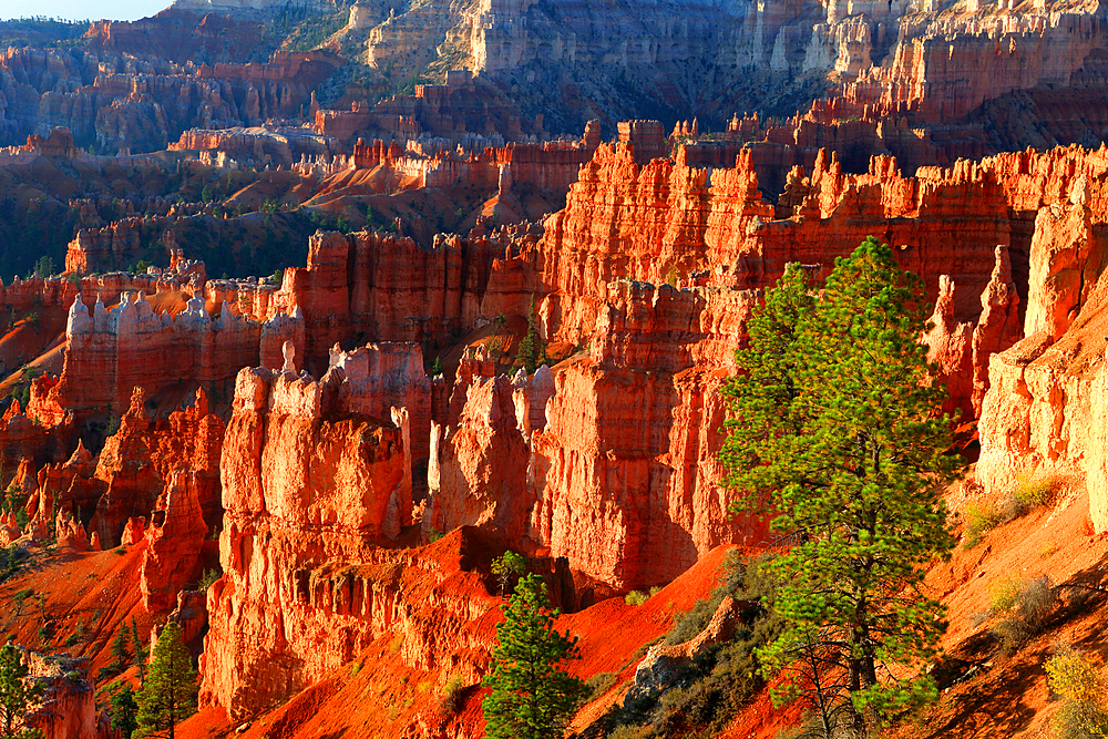 Bryce Canyon, Utah, USA