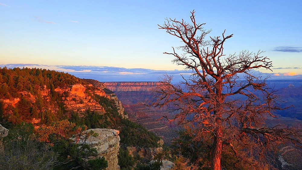 Grand Canyon, Arizona, USA