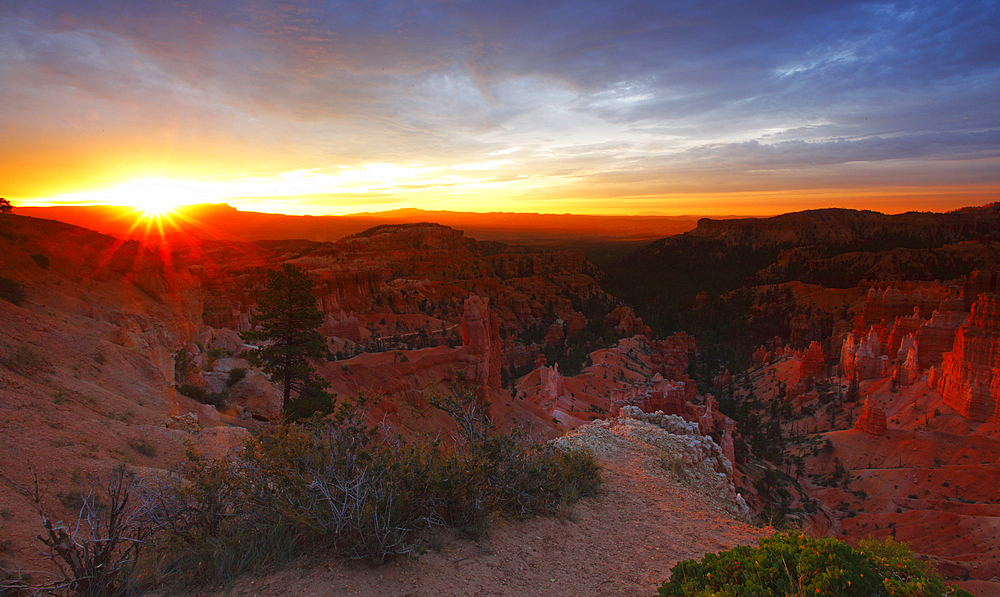 Sunrise over Bryce Canyon, Utah, United States of America, North America