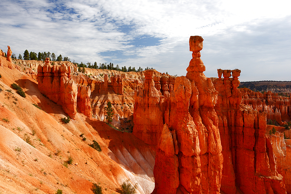 Thor's Hammer, Bryce Canyon, Utah, United States of America, North America