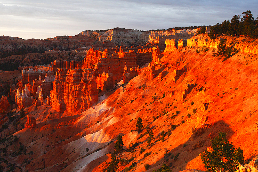 Bryce Canyon from Sunrise Point, early summer morning light, Bryce Canyon, Utah, United States of America, North America