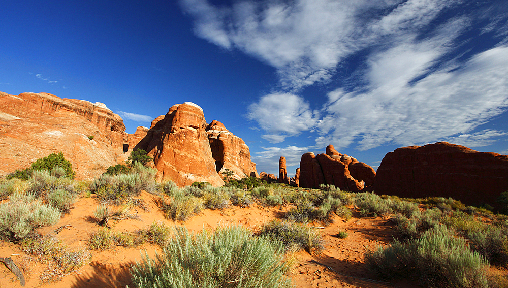 Near Devil's Garden, Arches National Park, Utah, United States of America, North America