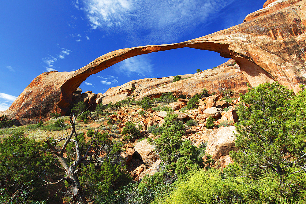 Landscape Arch, Arches National Park, Utah, United States of America, North America