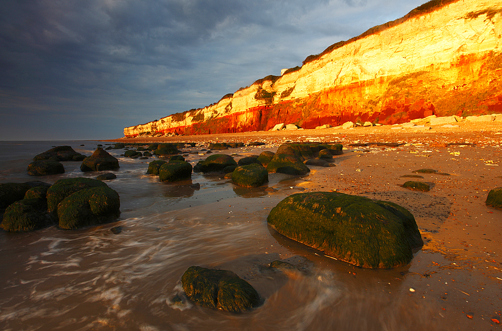 Midsummer evening sunlight on cliffs at Hunstanton, Norfolk, England, United Kingdom, Europe